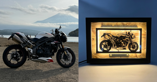 Triumph Speed Triple 1050 RS / Motorcycle Light Frame Art
