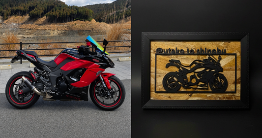 KAWASAKI NINJA / Motorcycle Frame Art