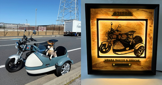 Honda Dax 125 & Sidecar / Memory Light Frame Art