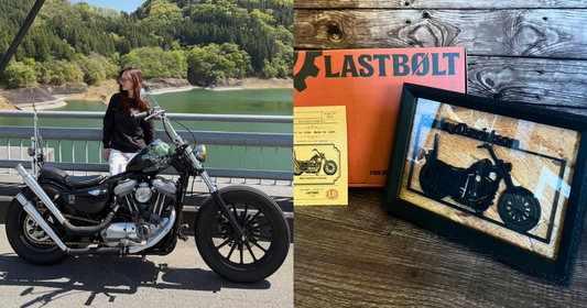 Harley Davidson Sportster / Motorcycle Frame Art