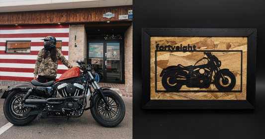 Harley Davidson Sportster Forty-Eight / Motorcycle Frame Art