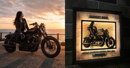 Harley-Davidson Iron 883 / Memory Light Frame Art