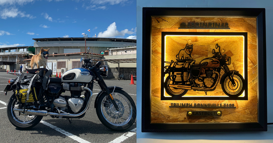 Triumph Bonneville T100 / Memory Light Frame Art