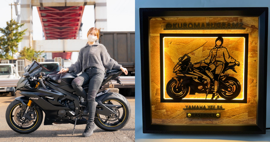 Yamaha YZF-R6 / Memory Light Frame Art