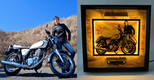 Yamaha SR400 / Memory Light Frame Art
