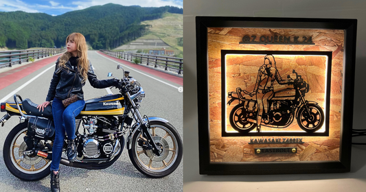 Kawasaki Z400FX / Memory Light Frame Art