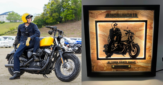 Harley-Davidson Forty-Eight / Memory Light Frame Art