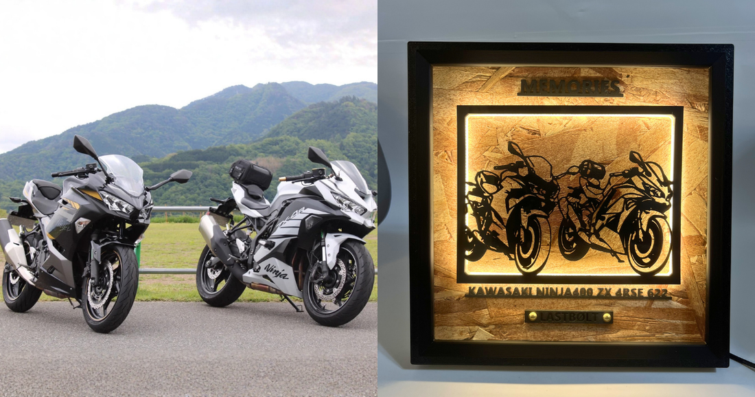 KAWASAKI Ninja 250 / Memory Light Frame Art