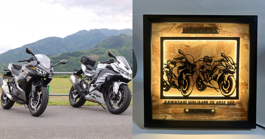 KAWASAKI Ninja 250 / Memory Light Frame Art