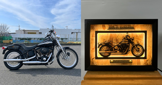 HARLEY-DAVIDSON SOFTAIL / Motorcycle Light Frame Art
