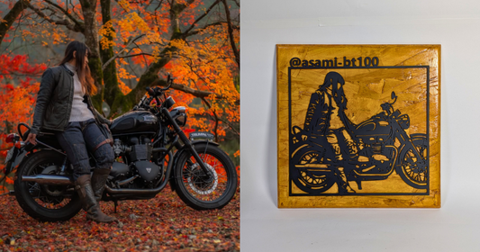 Triumph Bonneville T100 / Rider Edition Panel