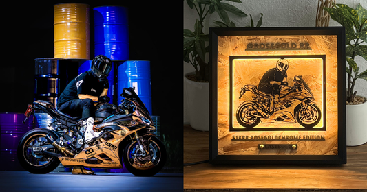 BMW S1000RR / Memory Light Frame Art