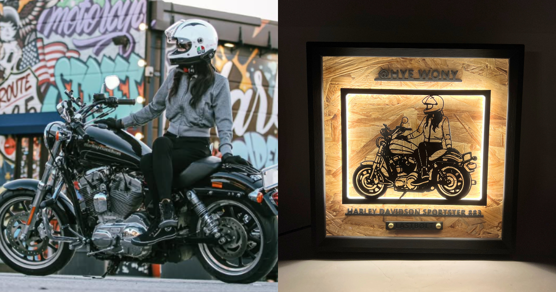 HARLEY-DAVIDSON SPORTSTER 883 / Memory Light Frame Art