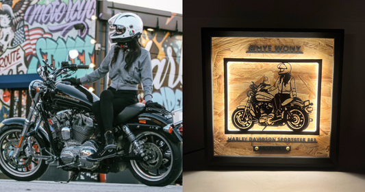 HARLEY-DAVIDSON SPORTSTER 883 / Memory Light Frame Art