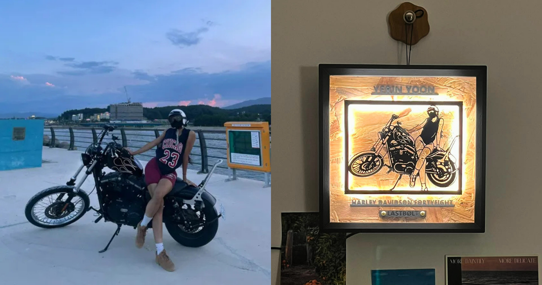 Harley-Davidson Sportster / Memory Light Frame Art