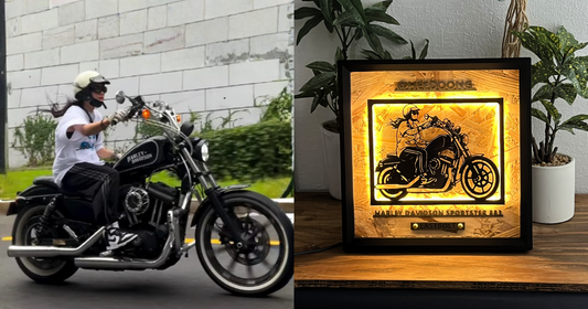 HARLEY-DAVIDSON SPORTSTER 883 / Memory Light Frame Art