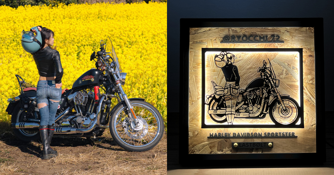 HARLEY-DAVIDSON SPORTSTER / Memory Light Frame Art