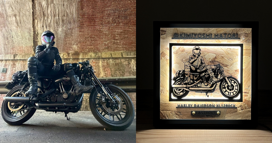 HARLEY-DAVIDSON XL1200CX / Memory Light Frame Art