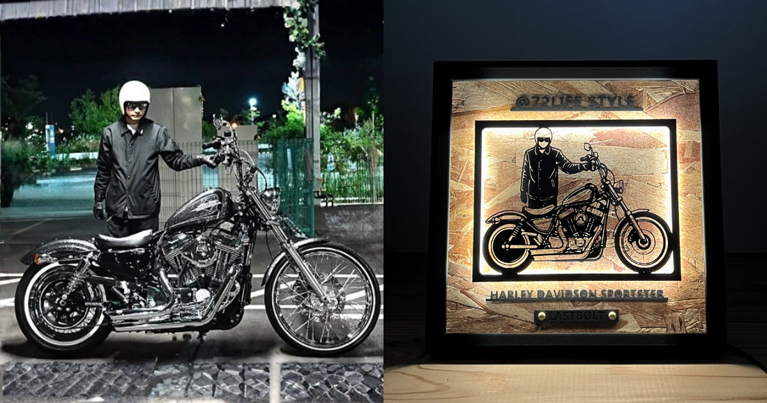 HARLEY-DAVIDSON SPORTSTER / Memory Light Frame Art