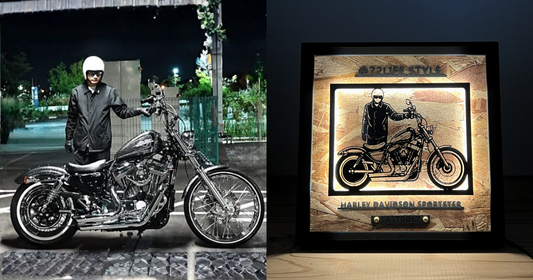 HARLEY-DAVIDSON SPORTSTER / Memory Light Frame Art