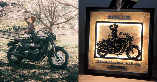 TRIUMPH BONNEVILLE T120 / Memory Light Frame Art