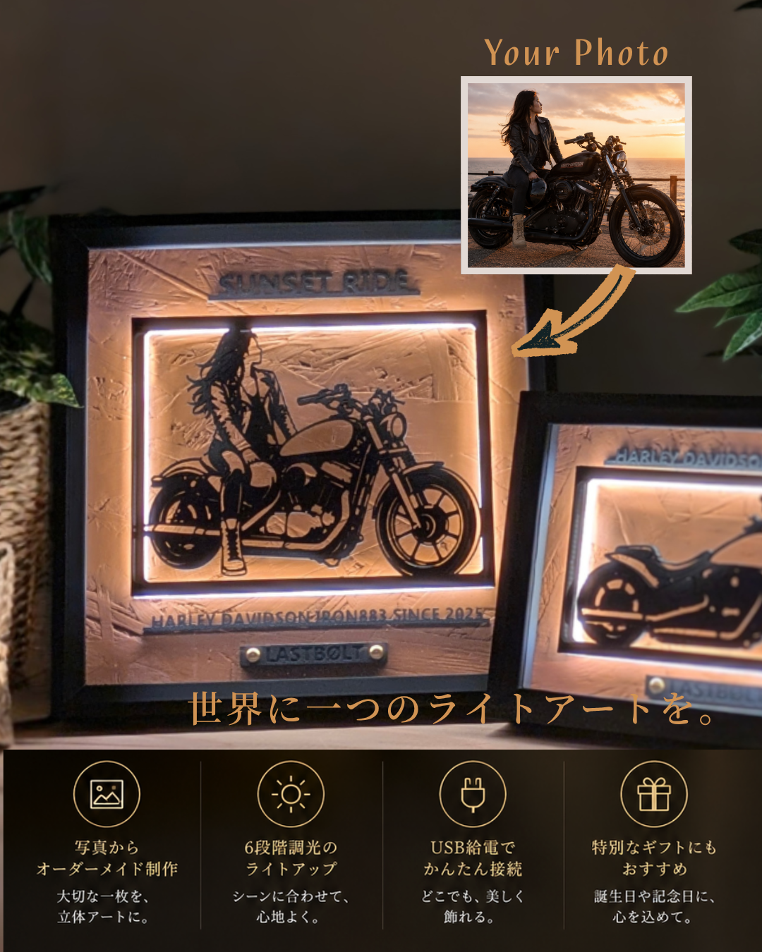 【Brown】Custom Memory Light Frame Art
