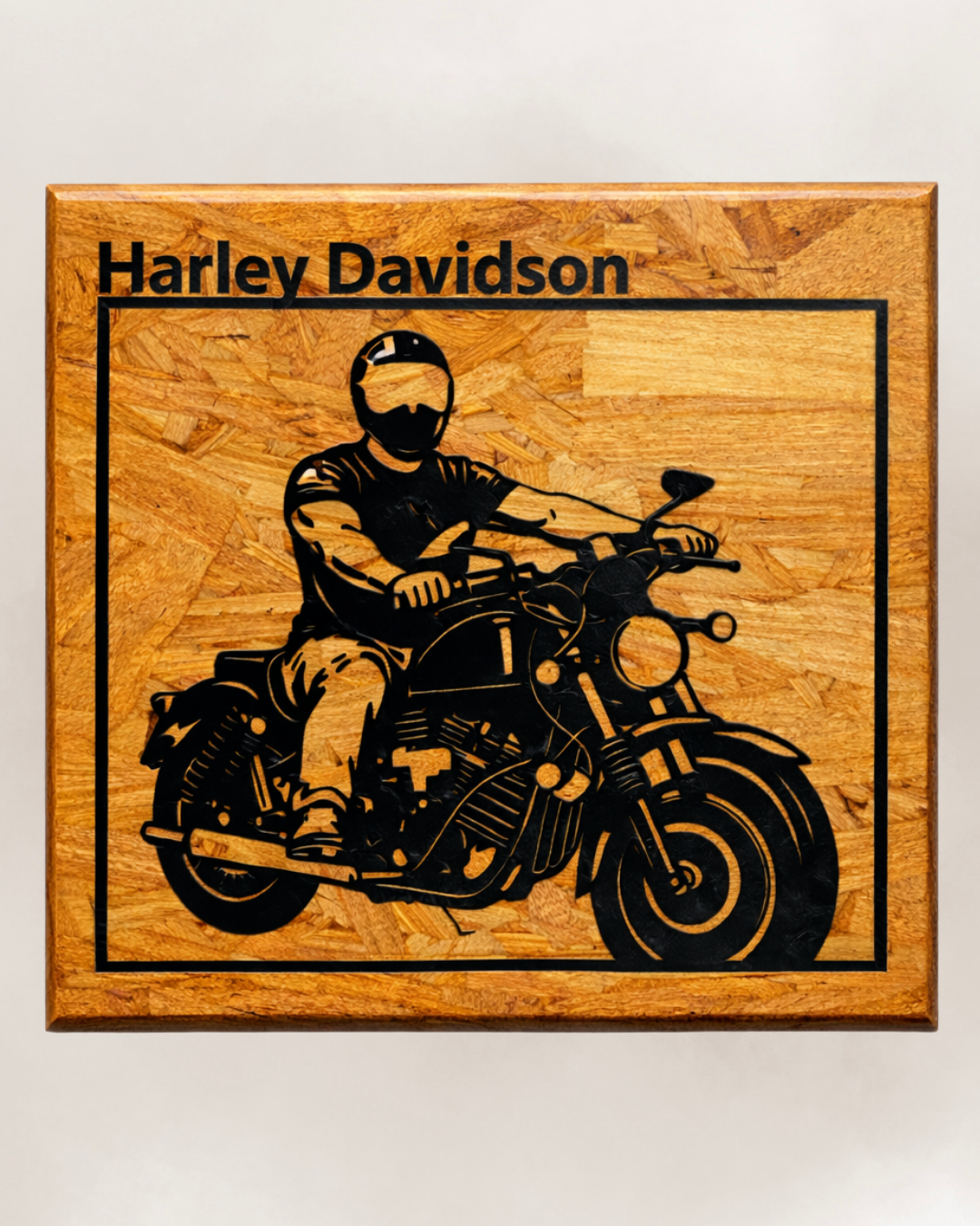 RIDER EDITION – Motorcycle Frame Art