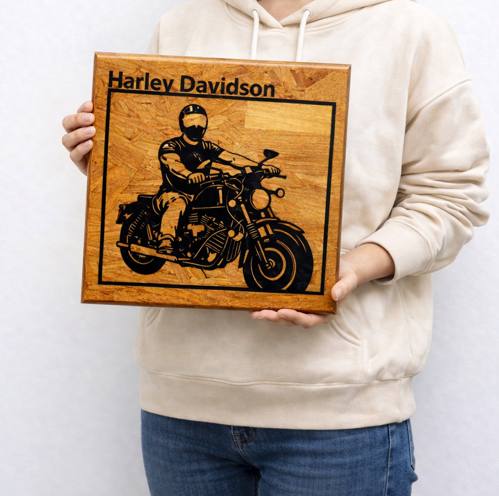 RIDER EDITION – Motorcycle Frame Art
