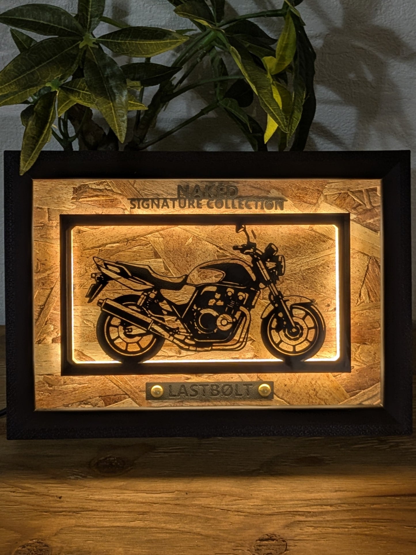 LASTBØLT Motorcycle Light Frame ArtーLandscape｜スタイル別LEDバイクアート
