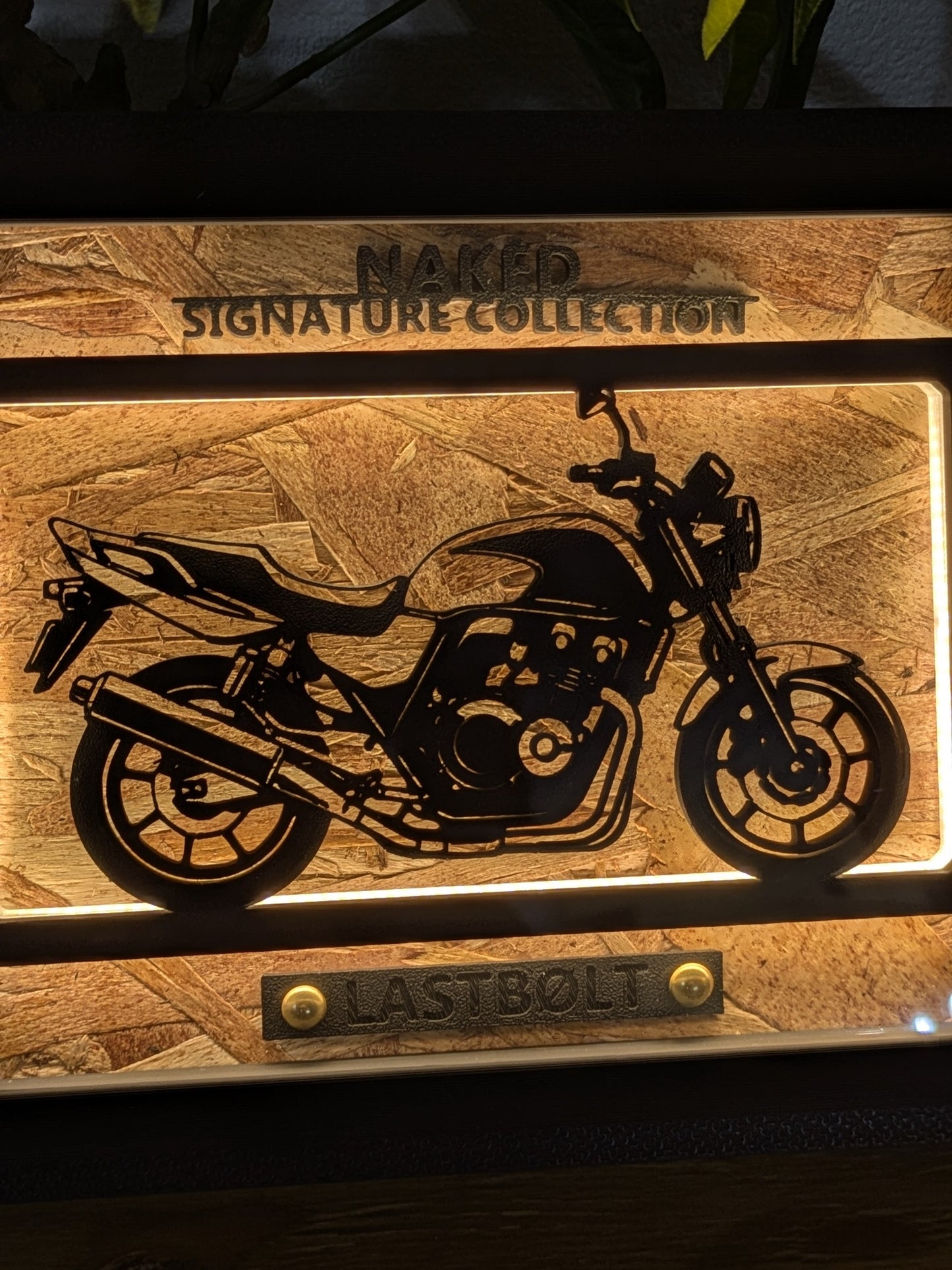 LASTBØLT Motorcycle Light Frame ArtーLandscape｜スタイル別LEDバイクアート