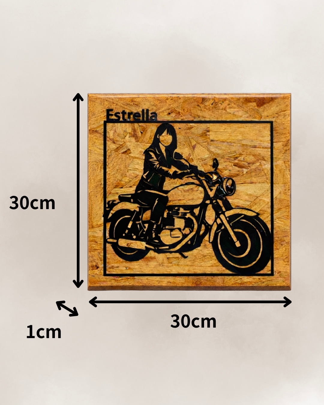 RIDER EDITION – Motorcycle Frame Art